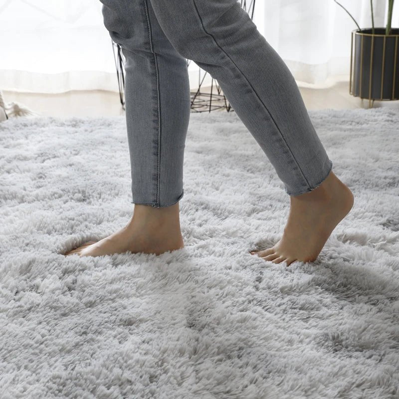 Modern Fluffy Anti-Slip Washable Carpet for Living Room