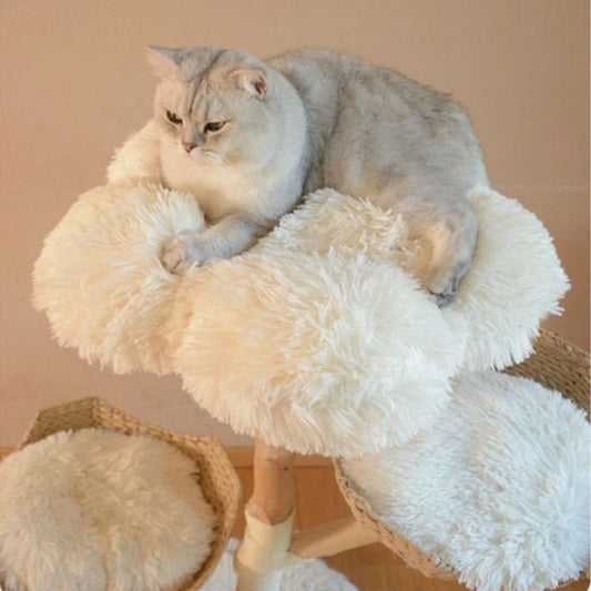 Natural Fruit Wood Climbing Flower Bed Tree