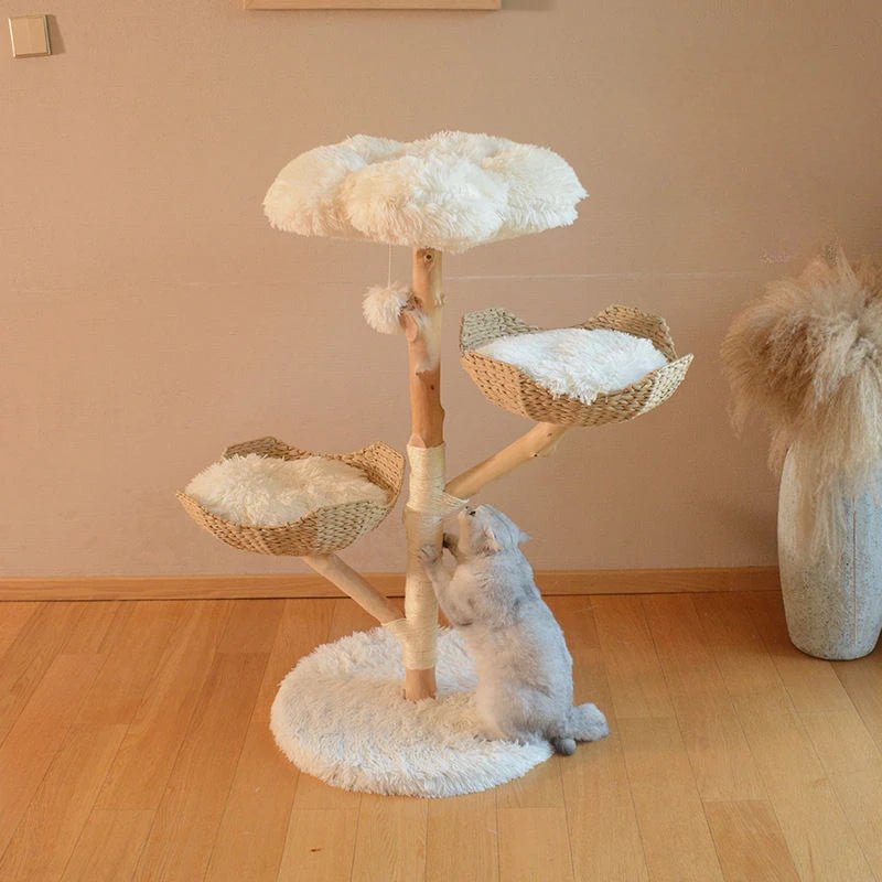 Natural Fruit Wood Climbing Flower Bed Tree