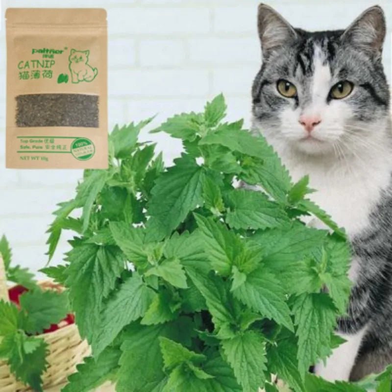 Paltner 100% Natural Premium Catnip