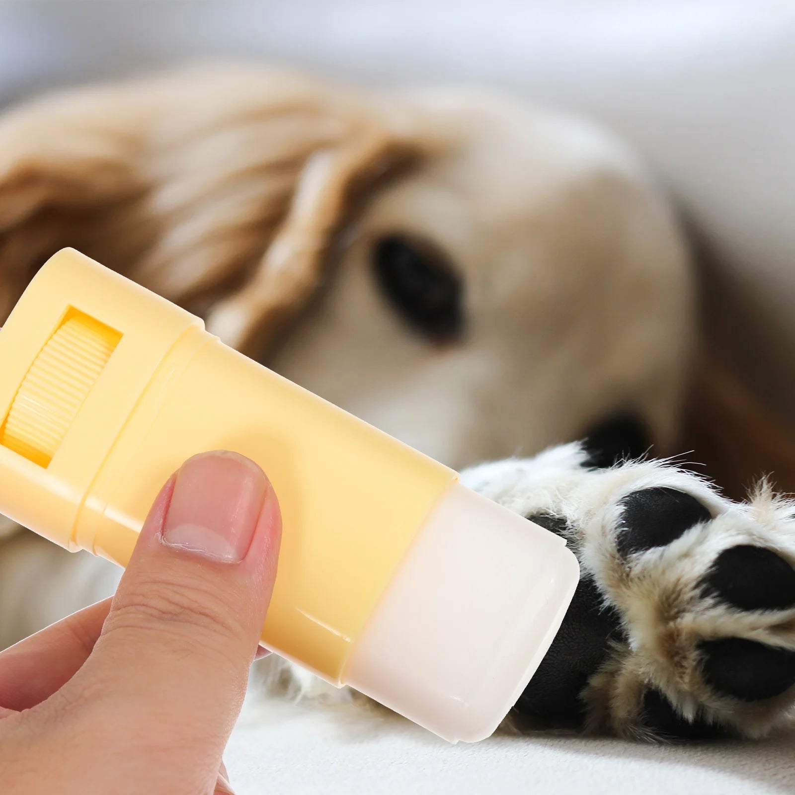 Paw Care Pet Paw Balm Foot Moisturizer