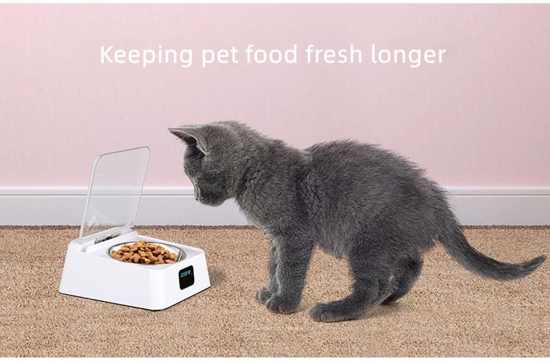 Pet 5G Wet Food Bowl Automatic Feeder Anti-Cockroach Anti-Mouse Moisture-Proof