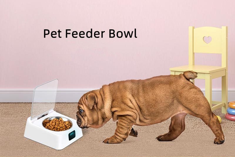 Pet 5G Wet Food Bowl Automatic Feeder Anti-Cockroach Anti-Mouse Moisture-Proof
