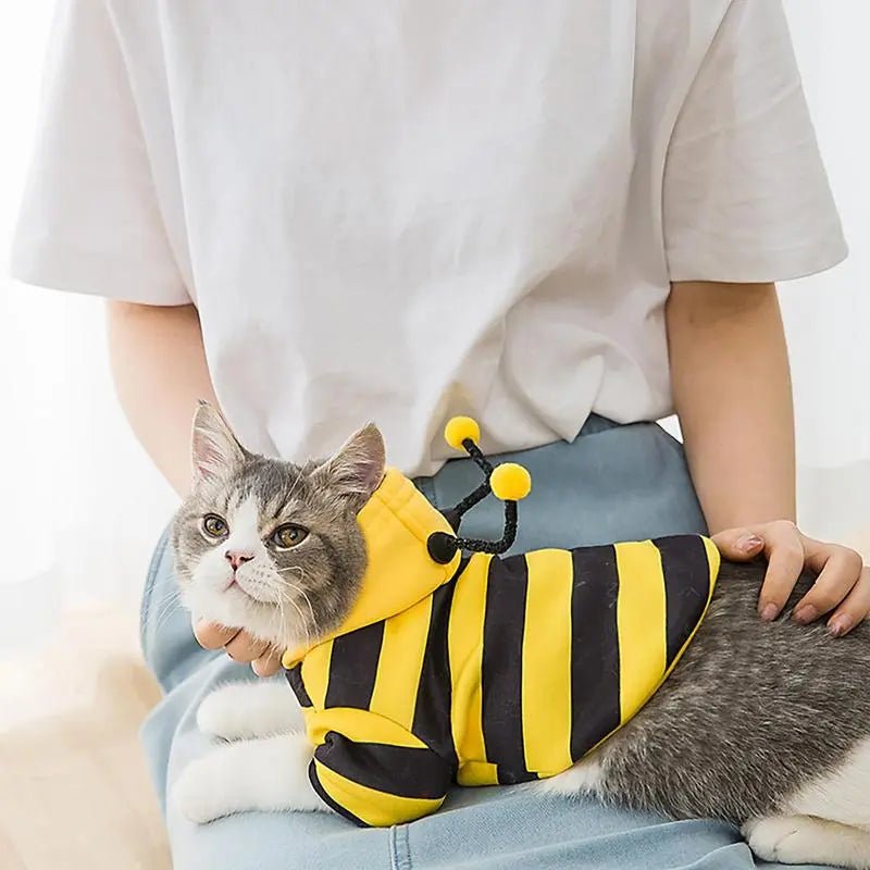 Pet Bee Cat Halloween Hoodie