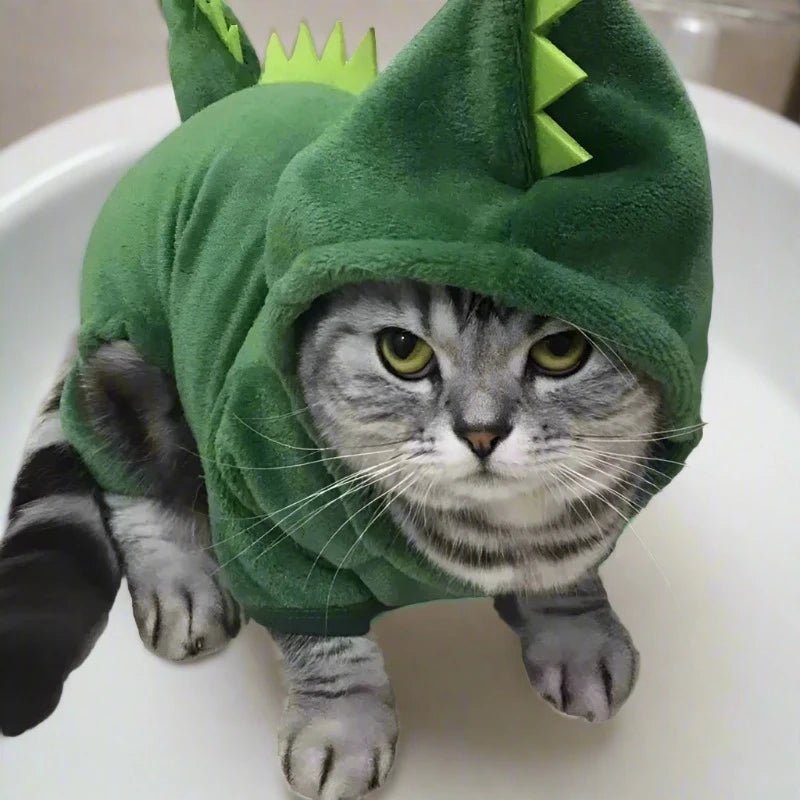 Pet Dinosaur Plush & Snug Winter Costume