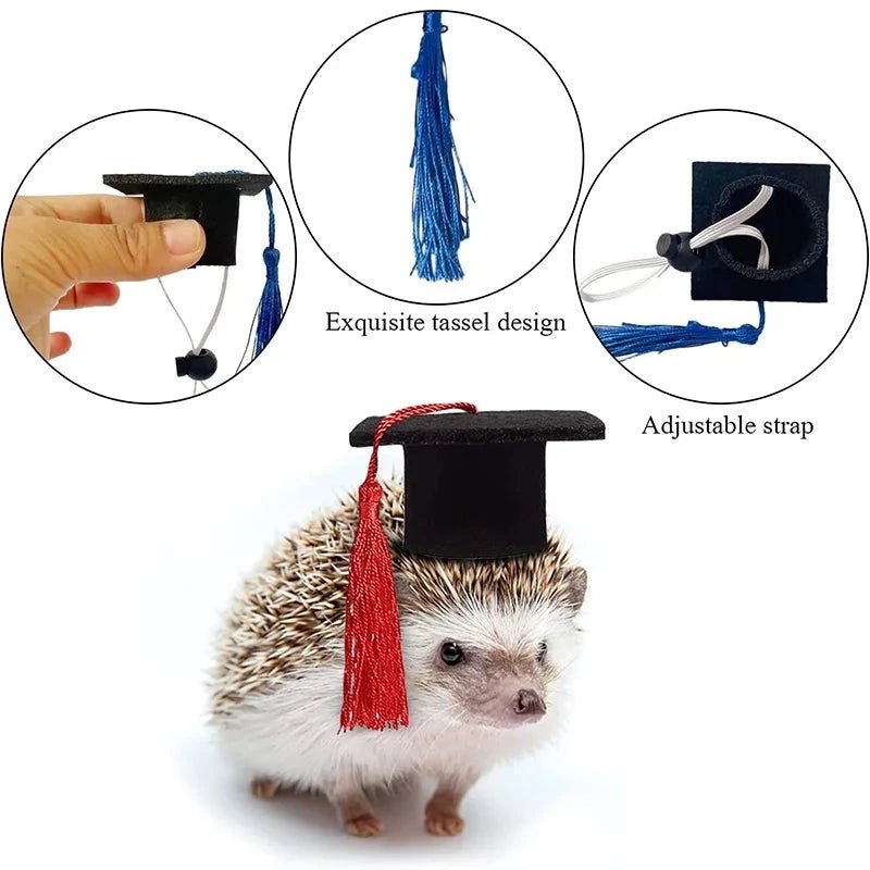 Pet Graduation Cap with Tassle & Bowtie