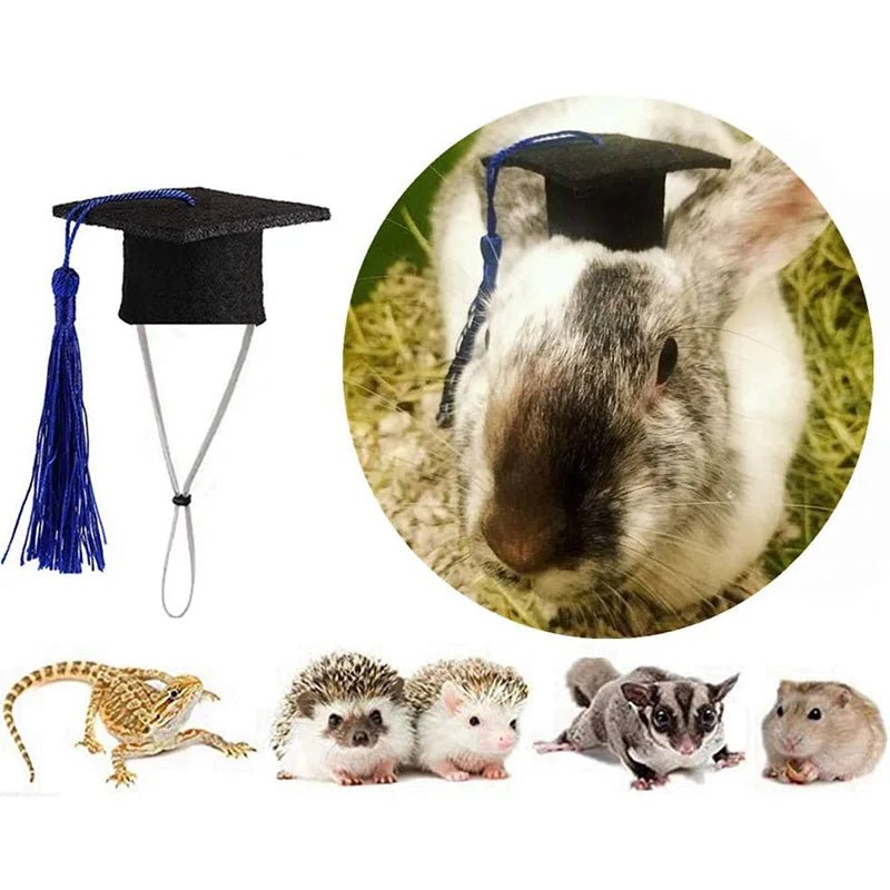 Pet Graduation Cap with Tassle & Bowtie