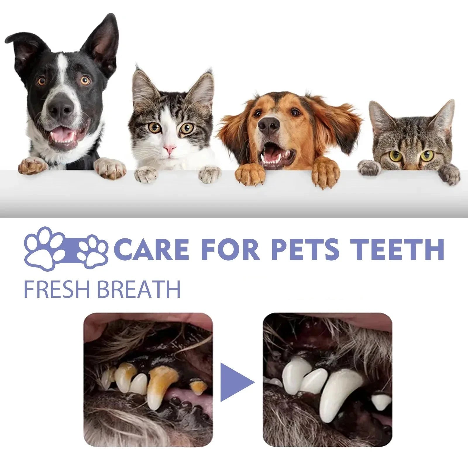 Pet Oral Care Spray Teeth Cleaning & Bad Breath