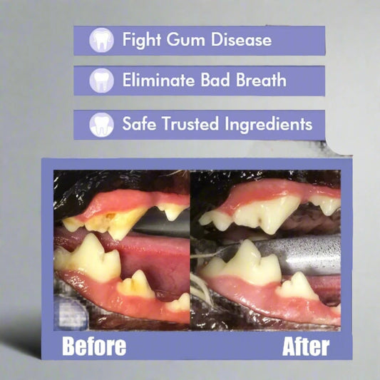 Pet Oral Care Spray Teeth Cleaning & Bad Breath