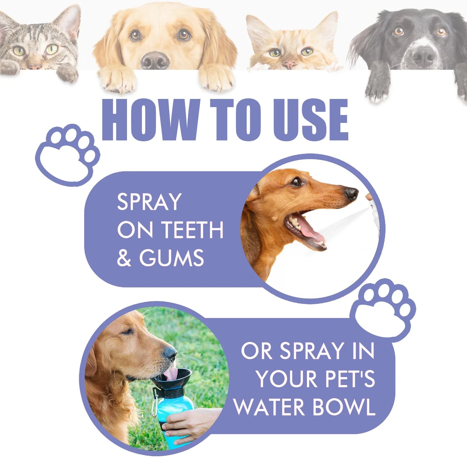 Pet Oral Care Spray Teeth Cleaning & Bad Breath