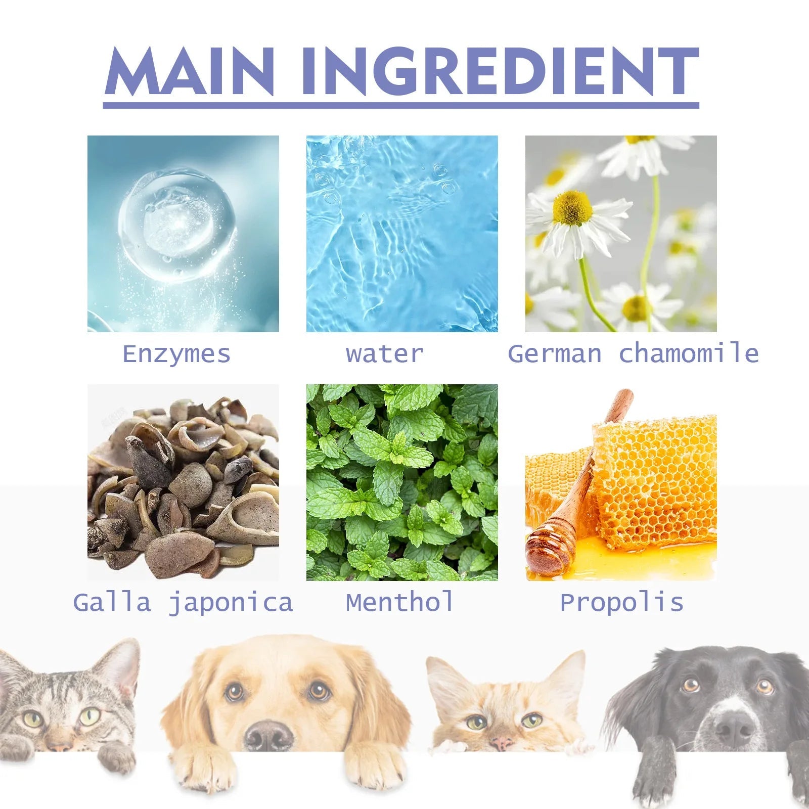 Pet Oral Care Spray Teeth Cleaning & Bad Breath