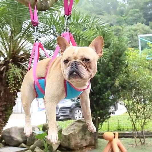 Pet Restraint & Grooming Hammock for Nail Trimming and Bathing