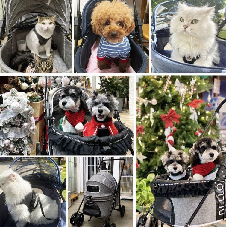 Pet Stroller Lightweight Foldable with Snap Closure Hood