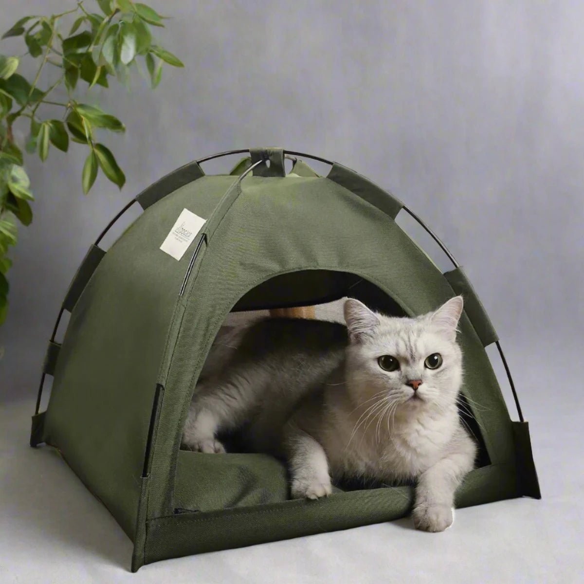 Pet Tent Cat House