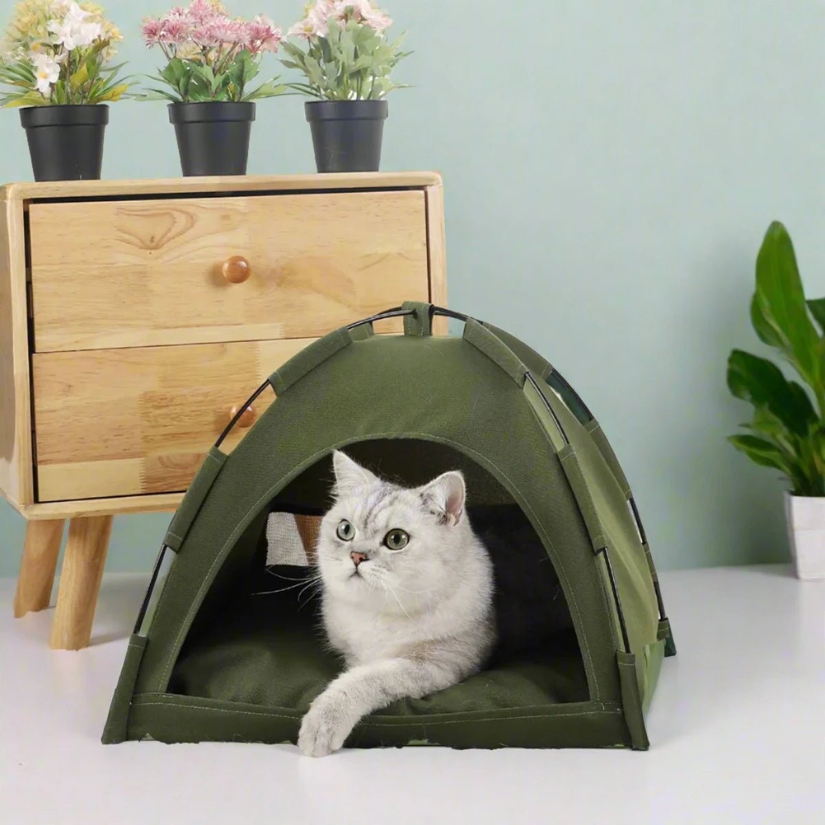 Pet Tent Cat House
