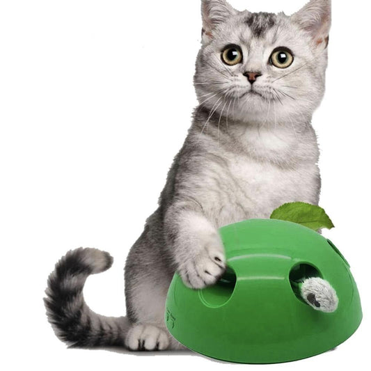 Pop-'n-Play 360° Peak-A-Boo Cat Toy