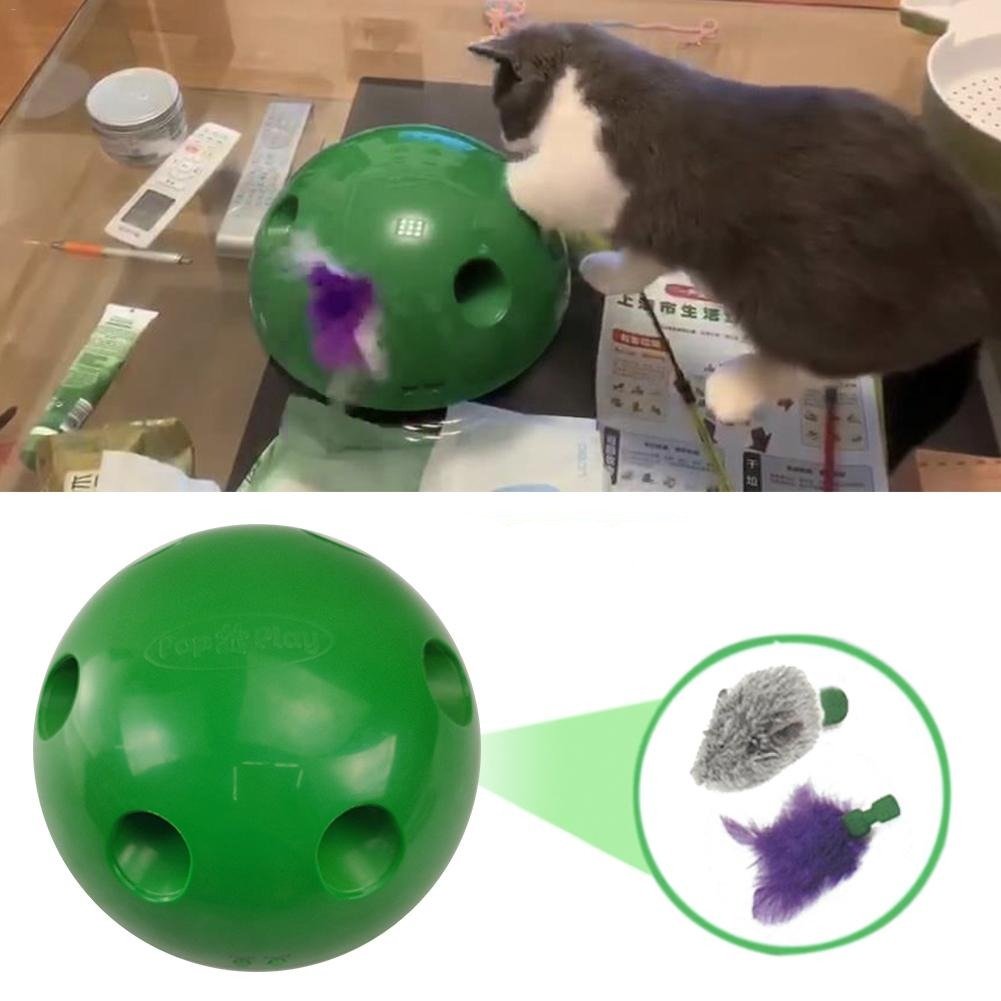Pop-'n-Play 360° Peak-A-Boo Cat Toy