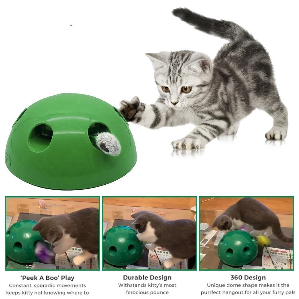Pop-'n-Play 360° Peak-A-Boo Cat Toy