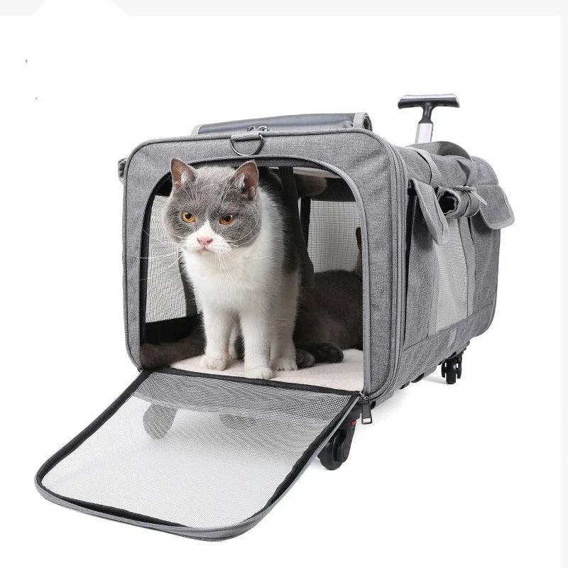 Portable and Foldable Pet Trolley Case