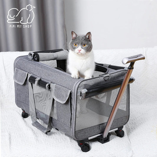Portable and Foldable Pet Trolley Case