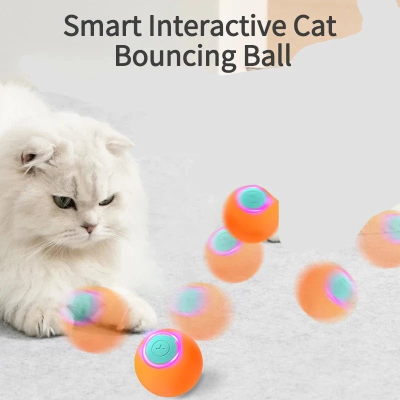 ROJECO Smart Cat Automatic Electric Interactive Rolling Ball