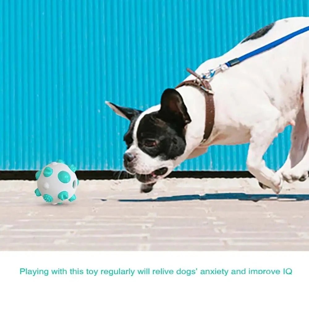 Rolling Nipple Rubber Ball Toy for Cats and Dogs