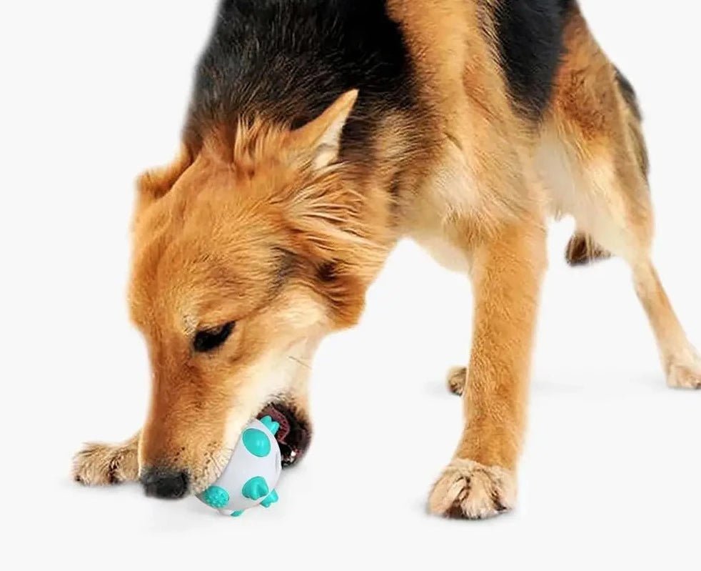 Rolling Nipple Rubber Ball Toy for Cats and Dogs
