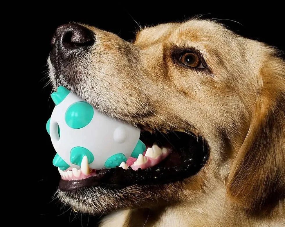 Rolling Nipple Rubber Ball Toy for Cats and Dogs