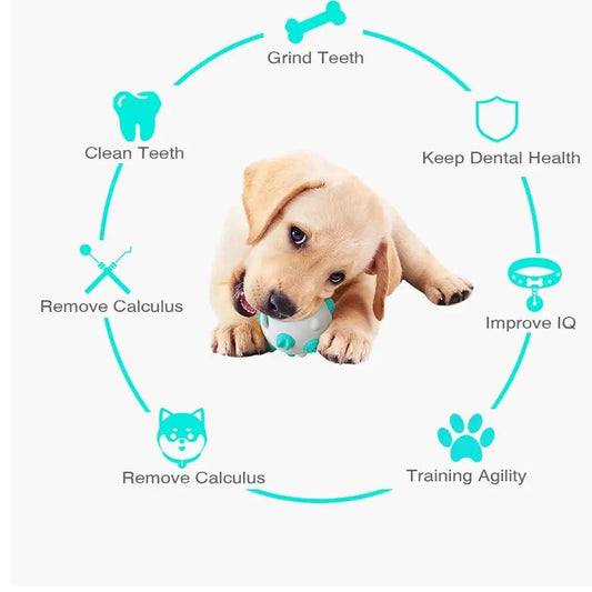 Rolling Nipple Rubber Ball Toy for Cats and Dogs