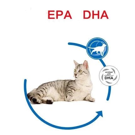 Royal Canin 7+ Years Old Indoor Elderly Dry Cat Food