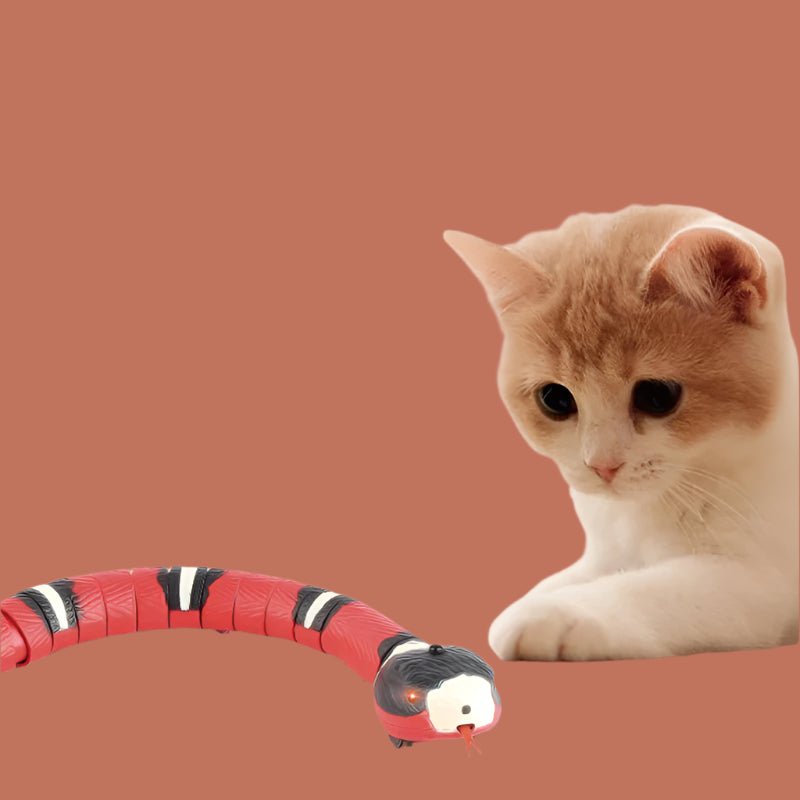 Smart Sensing Snake Toy