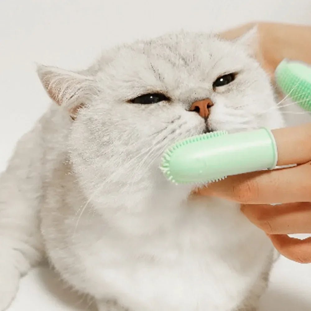 Soft Two-Finger Pet Toothbrush