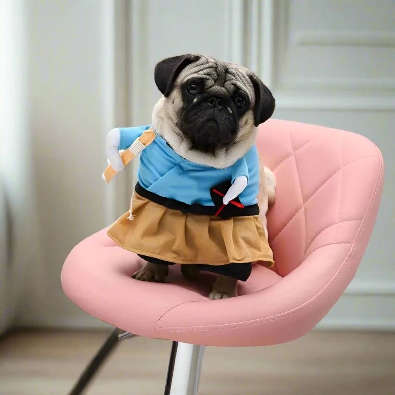 Sumurai Cat & Dog Costume