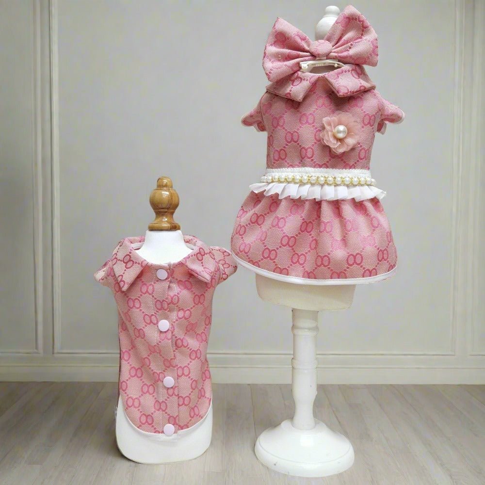 Teddy Bear Dog Outfit