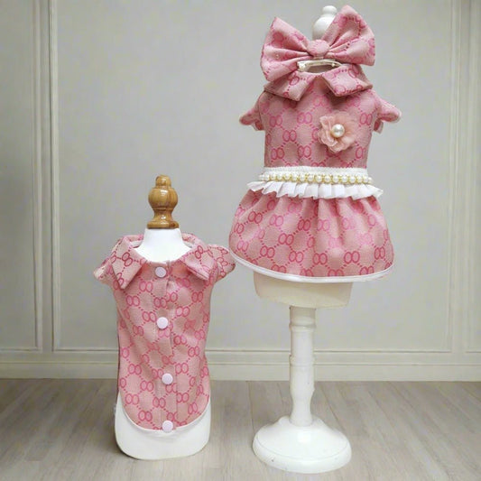 Teddy Bear Dog Outfit