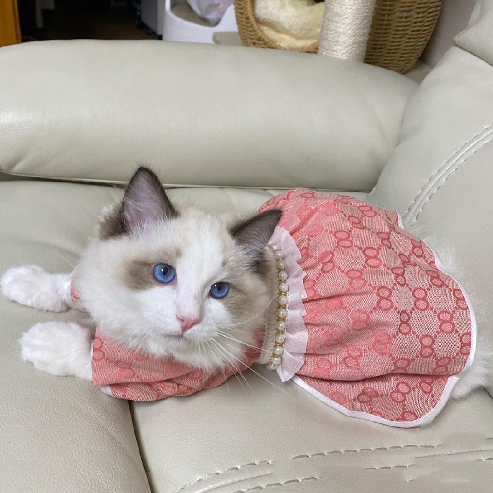 Teddy Bear Dog Outfit