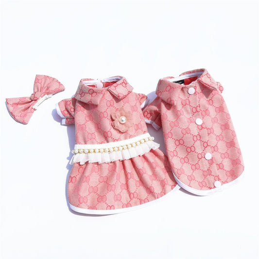 Teddy Bear Dog Outfit