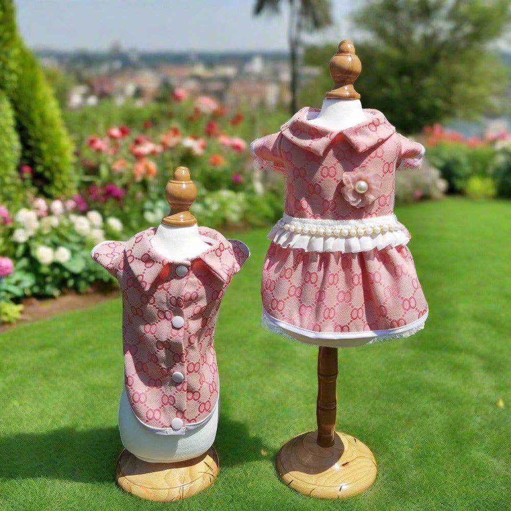 Teddy Bear Dog Outfit