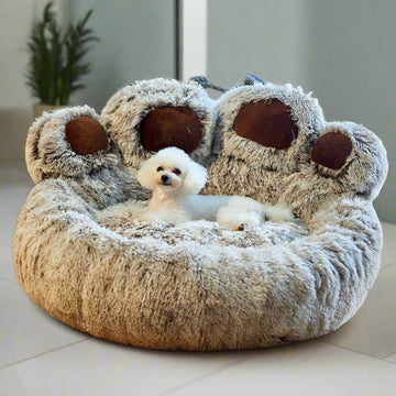 Short Plush Dark Curry+Blanket