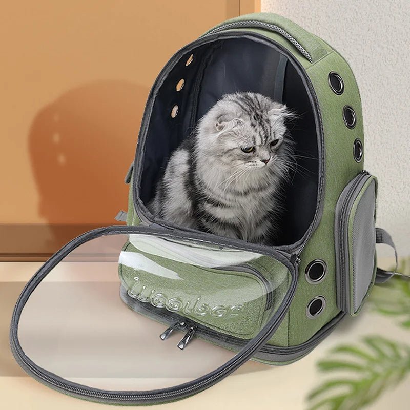 Transparent Cat Carrier