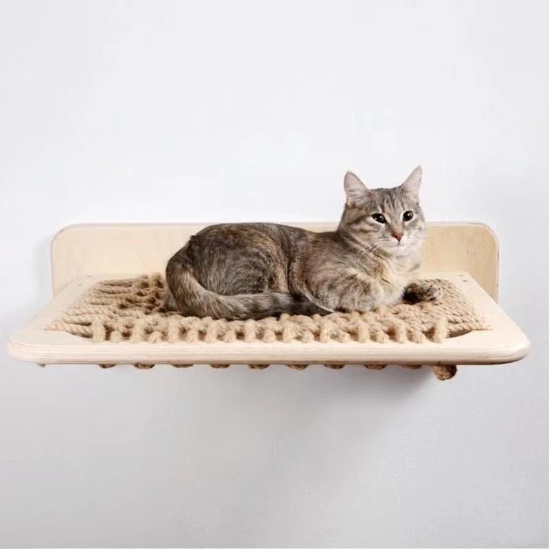 Wall Mounted Hammock Hanging Rack and Climbing Frame