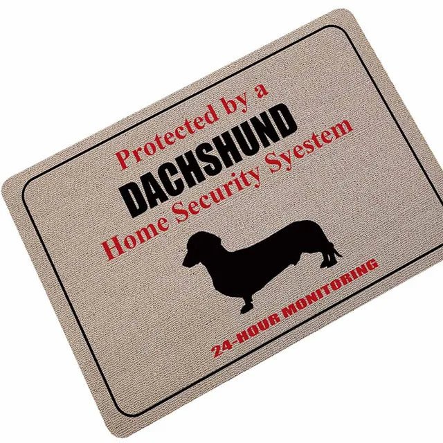 Welcome Cats Entrance Absorbent Anti-Slip Mats