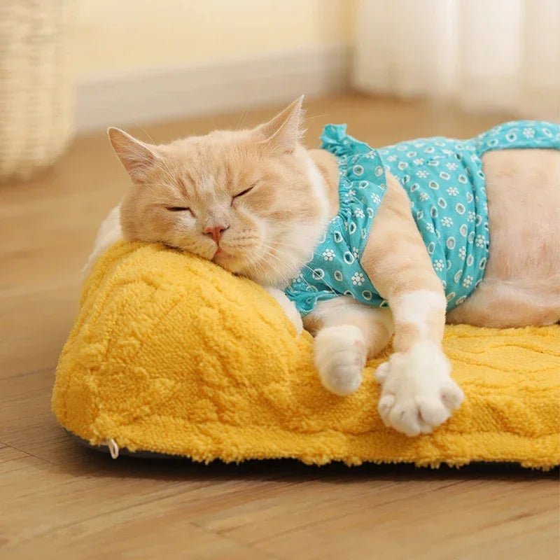 Yellow and White Cat Bed and Sleeping Mat Collection